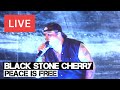 Black Stone Cherry - Peace is Free Live in [HD ...