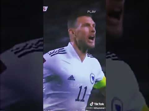 Džeko goal vs France 1.9.2021!!