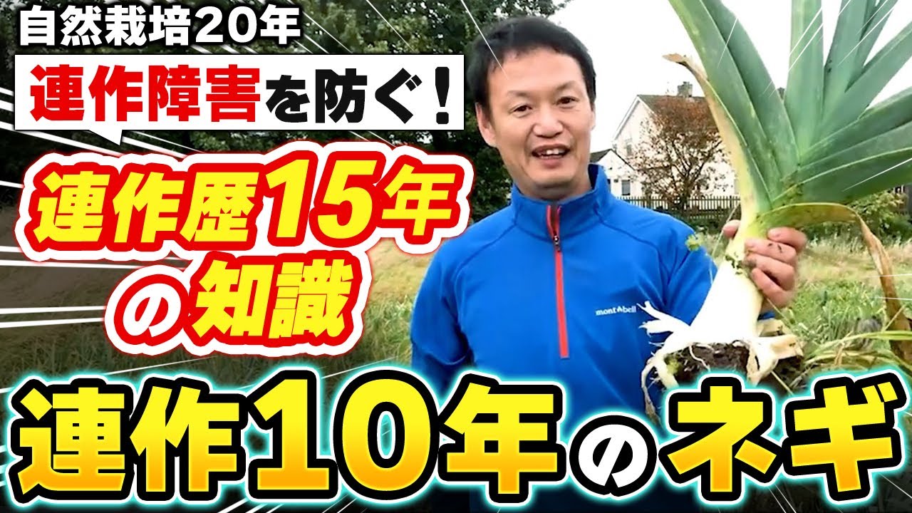 連作障害は存在しない?自然栽培の連作