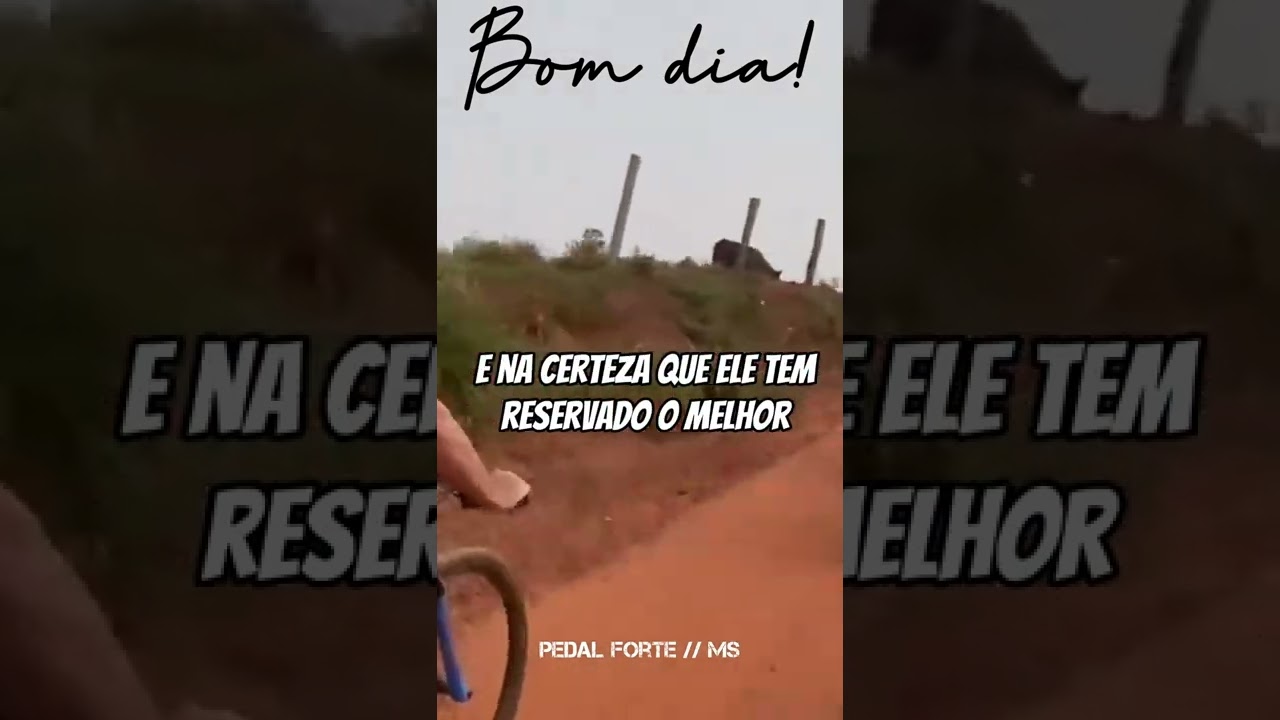 Bom dia, uma abençoada quinta-feira a todos.