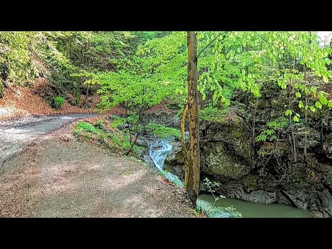 Parcul national Cozia si Cascada Lotrisor