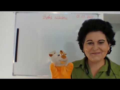 037, Lectii online, MEM, clasa I - Proba scaderii