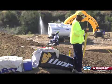 2019 Mini O's MX - 450 A