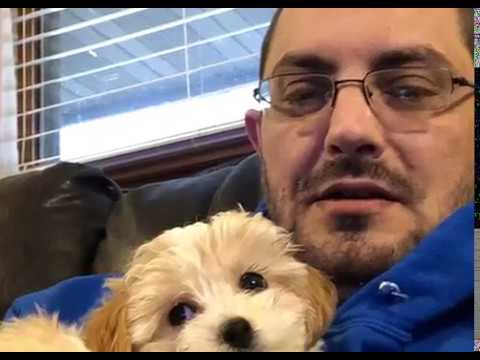 Channel Mascot and Dominator 62MM Demo & Grade