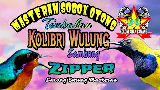Download lagu Masteran Sogon Tembakan Kowul Sambung Zipper Suara Jernih mp3