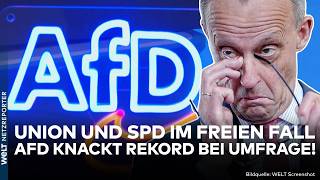 Video: SACHSEN-ANHALT: Umfrage-Knall! AfD hat absolute Mehrheit in Reichweite! Union und SPD im freien Fall