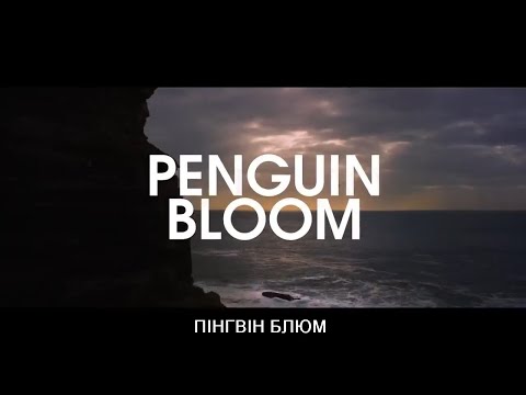 Пінгвін Блюм / Penguin Bloom (2020) (УКРАЇНСЬКІ СУБТИТРИ)