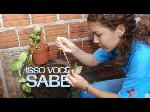 Vídeo: São Gonçalo Unido Contra o Aedes Aegypit 3