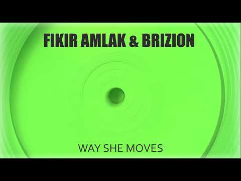 Fikir Amlak & Brizion - Way She Moves (Dubstrand Music)