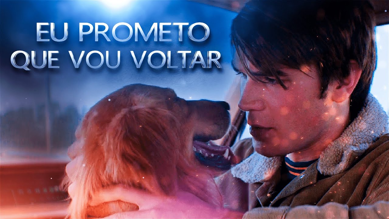 Eu Prometo Que Vou Voltar Chefão! 💔😔 4 Vidas De Um Cachorro