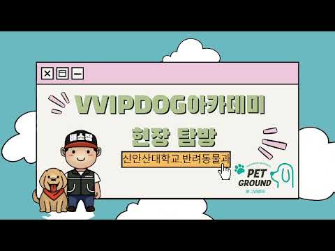 기본썸네일이미지