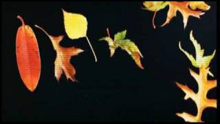 I am a fool to want you - Tsuyoshi Yamamoto, Isoo Fukui & Tetsujiro Obara