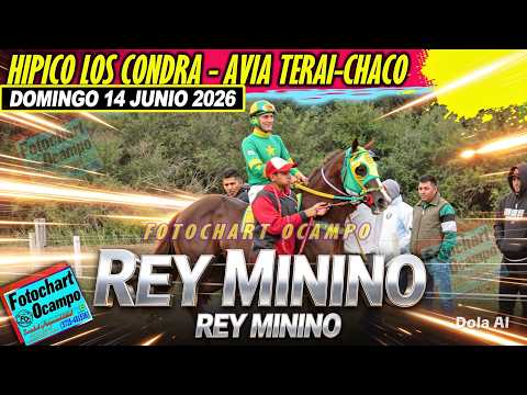 REY MININO Avia Terai CH 14 06 2026
