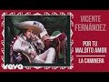 Vicente Fernández - La Caminera (Cover Audio)