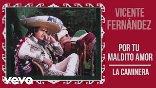 Vicente Fernández - La Caminera (Cover Audio)