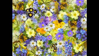 13 - I&#39;ve Got You Covered