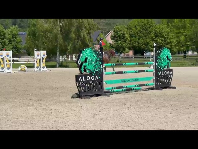 1.20m Show class movie Ursus van de Kapelhoeve (Emerald x Quite Easy).