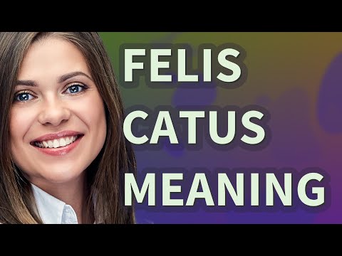 Felis catus | meaning of Felis catus