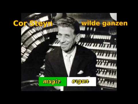 cor steyn - wilde ganzen (1965)