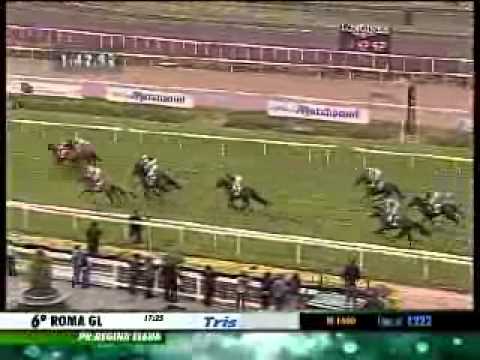 27/04/2014, Roma , Premio Regina Elena Tris Str.v7