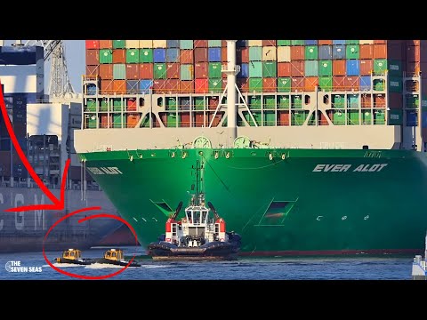 EVER ALOT container ship in ROTTERDAM Port - Shipspotting 2023!