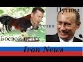 Боевой петух против Путина и России! Запрещенное в Украине видео! 