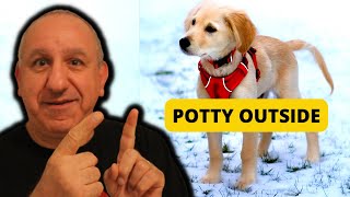 How To Train Puppy To Pee Outside?