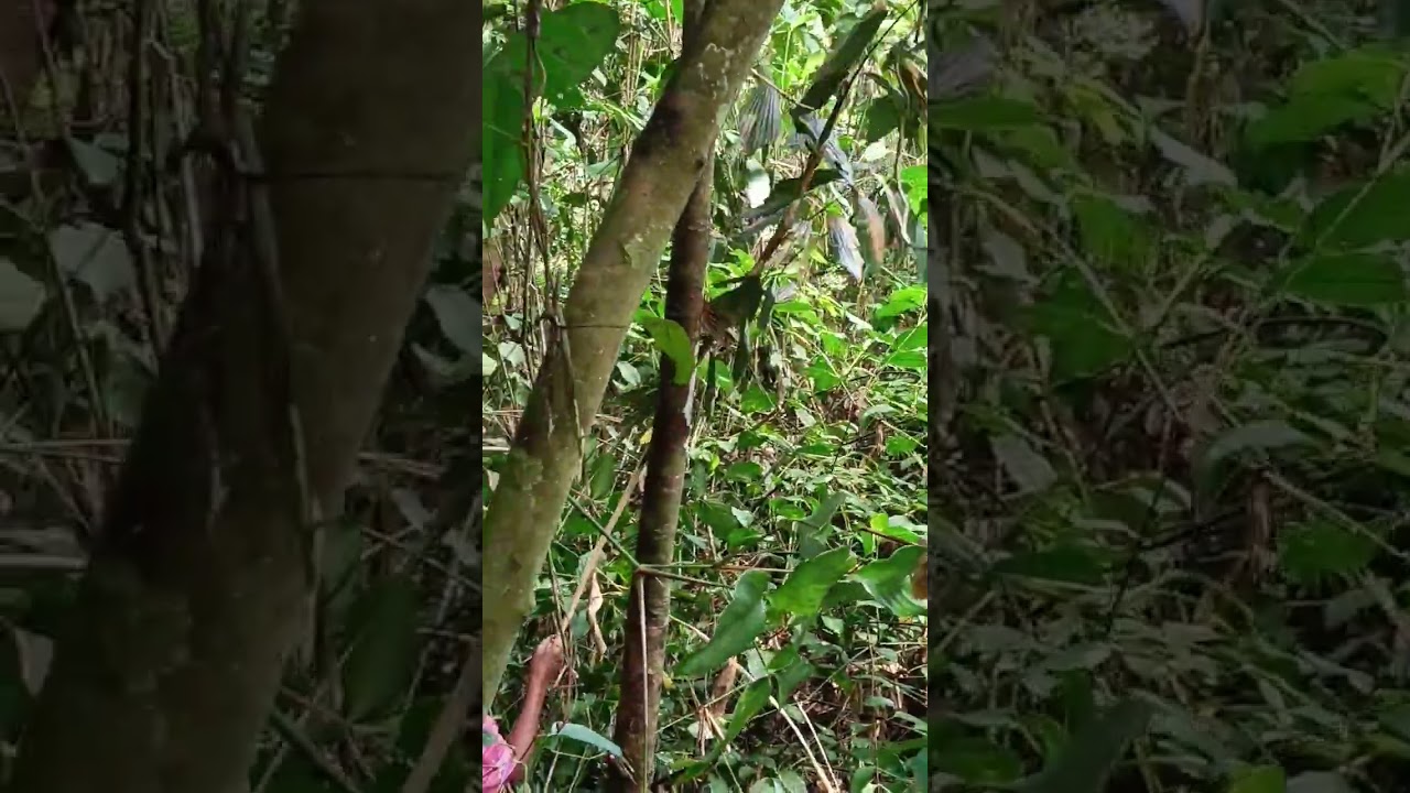 Uway moment @FelEvchanel #lifestyle #native