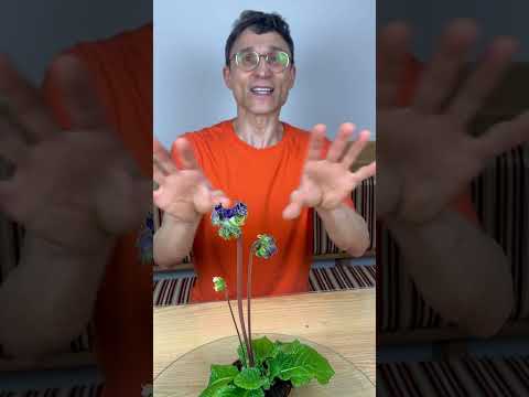 Product video