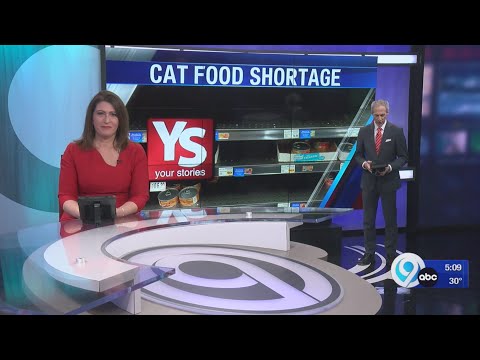 Your Stories: Cat Food Shortage