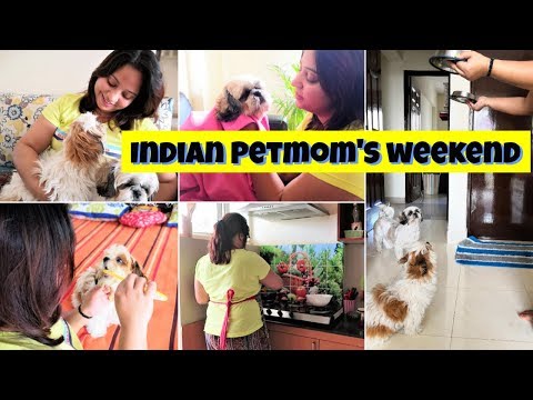 Busy Weekend Routine | Weekend With Puppies | Indian Petmom Video