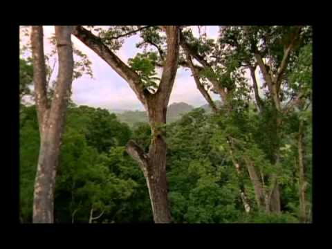 Si-Klon - Reflected Sadness (Produced By: Synonym)