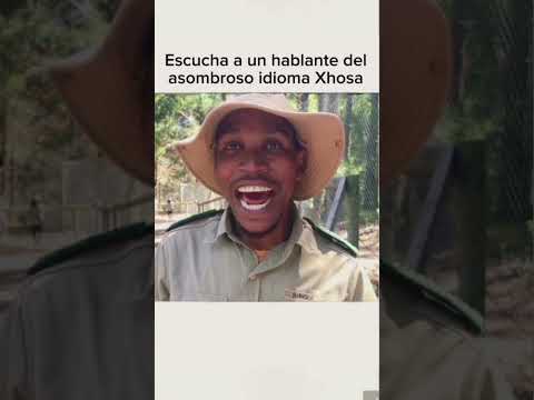 El increíble idioma Xhosa🗣. ¿Lo conocías? #curiosidades #datoscuriosos #antropologia
