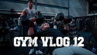 Gym Vlog 12 - Chest & Triceps w/Gerard & Dylan