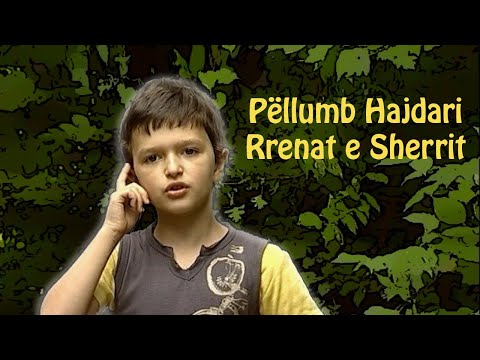 Pellumb Hajdari - Rrenat e sherrit HD