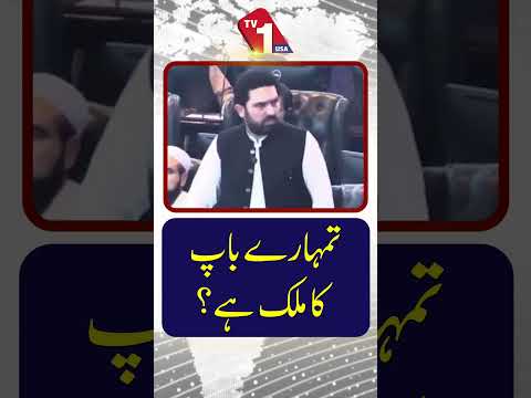 ”کیا یہ تمہارے باپ کا ملک ہے؟“ — گرما گرم سیاسی بحث