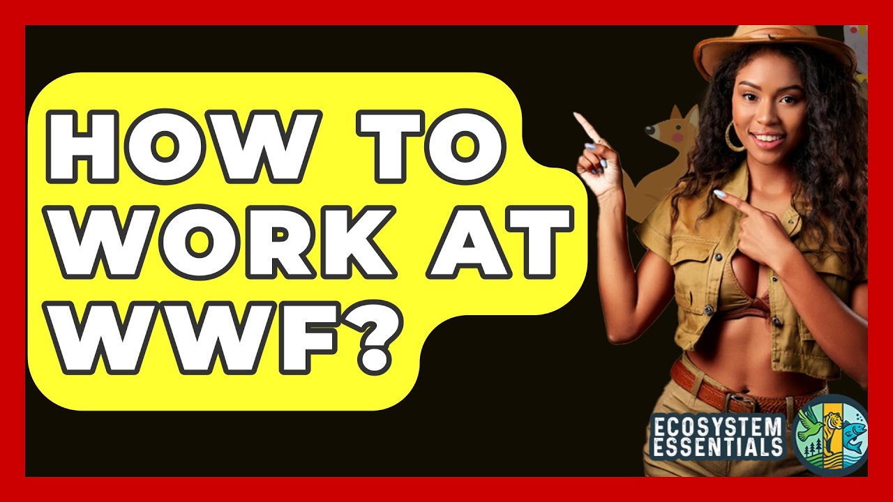 How To Work At WWF? - Ecosystem Essentials