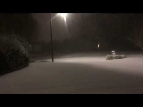 Heavy Snow Falling in Spartanburg, SC. 1/16/22