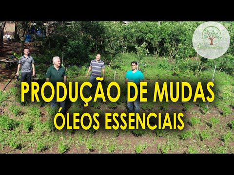 , title : 'Produção de Ervas para Óleos Essenciais Dicas e Cuidados'