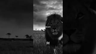 Ready Will Have No Choice but to Show Up