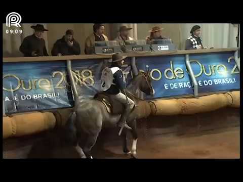 Classificatória Região Sul – 8° lugar fêmeas – Iguana do Capão Redondo (Prova: Mangueira II)