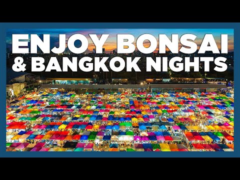 Thumbnail for CruiseAway: Bonsai & Bangkok Nights