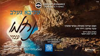Nachmu Ami ft Akiva Gelb & Zalmen Leib Friedman | עקיבא גלב וילד הפלא זלמן לייב פרידמן: נחמו עמי