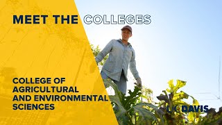 Meet the College of Agricultural and Environmental Sciences