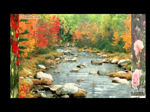 WHEN THE  RAIN  FALLS  QUANDO A  CHUVA  CAI 2