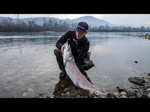 105 cm of wild beauty - Drina - Mladica - Huchen