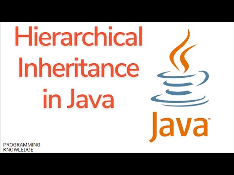 Java Tutorial For Beginners Hierarchical Inheritance In Java