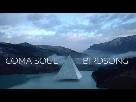 Coma Soul  - Birdsong | video clip | mystical deep techno | indie electronic