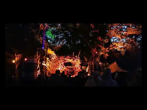 Tromo live at Drops 2022