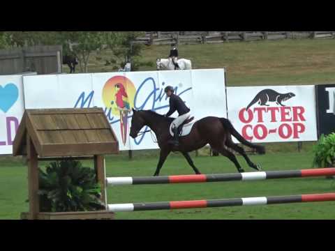 Al Capone 2 in 1 35m Classic Aug TB 2016